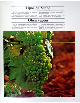 sadacosta-1701jr023_3.jpg
