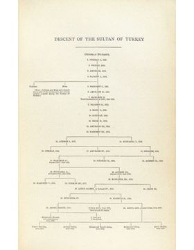 sadacosta-1701pg078_3.jpg
