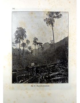 sadacosta-1702pg038_3.jpg