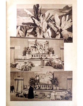 sadacosta-1702pg047_3.jpg