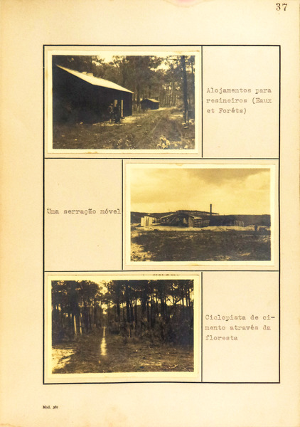 sadacosta-1703pg005_2.jpg