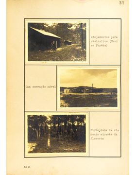 sadacosta-1703pg005_2.jpg