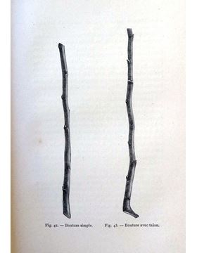 sadacosta-1703pg028_2.jpg