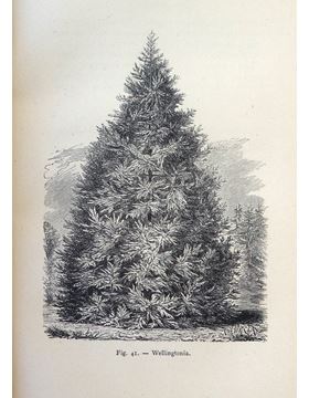 sadacosta-1703pg028_3.jpg