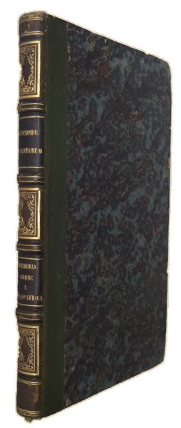 sadacosta-1703pg031_4.jpg