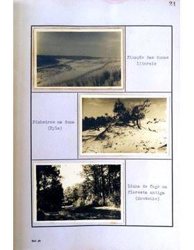 sadacosta-1705PG005_3.jpg