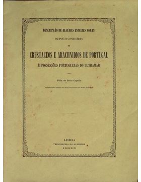sadacosta-1710jc018_1.jpg