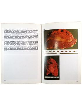 sadacosta-1710pg002_3.jpg
