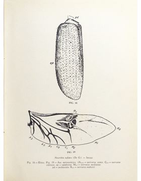 sadacosta-1710pg017_3.jpg