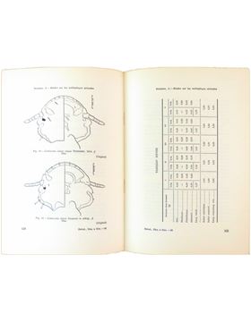 sadacosta-1710pg024_2.jpg