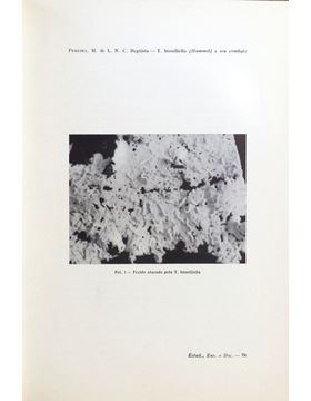 sadacosta-1710pg025_2.jpg
