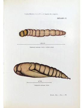 sadacosta-1710pg026_3.jpg
