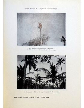 sadacosta-1711pg002_2.jpg