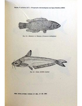 sadacosta-1711pg002_3.jpg