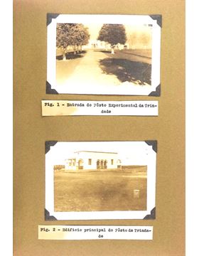 sadacosta-1711pg039_2.jpg