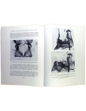 sadacosta-1712pg025_3.jpg