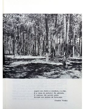 sadacosta-1802pg114_3.jpg