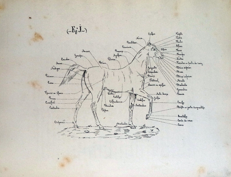 sadacosta-1803jc010_2.jpg