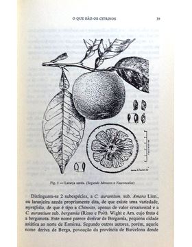 sadacosta-1803mp016_3.jpg
