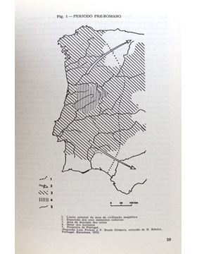sadacosta-1803mp029_3.jpg