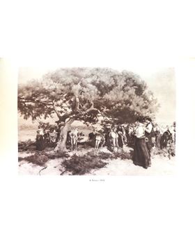 sadacosta-1806pg023_4.jpg
