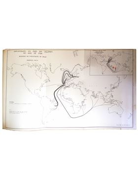 sadacosta-1807jr026_3.jpg