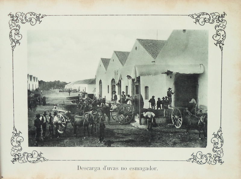 sadacosta-1808jc008_2.jpg