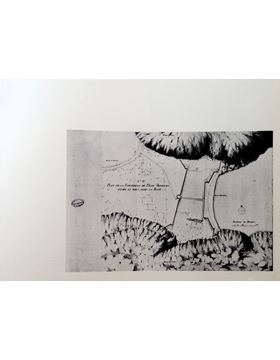 sadacosta-1809mp063_4.jpg