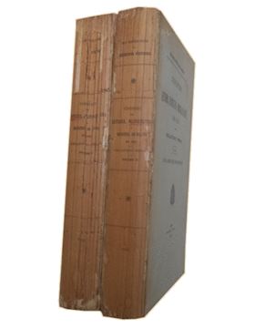 sadacosta-1810jr019_4.jpg