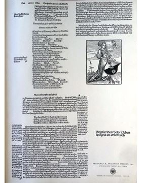 sadacosta-1810pg035_3.jpg