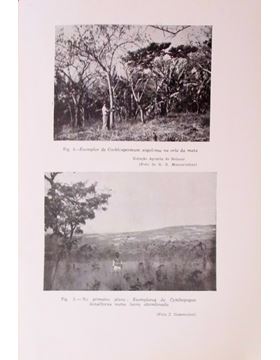 sadacosta-1811jc004_3.jpg