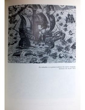 sadacosta-1811jr010_3.jpg