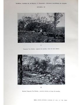 sadacosta-1811jr047_2.jpg