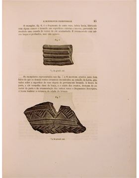 sadacosta-1902pg006_3.jpg