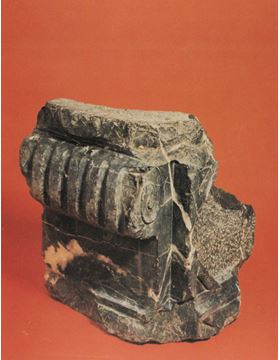 sadacosta-1907rl103_2.jpg