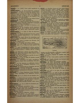 sadacosta-1911rl040_3.jpg