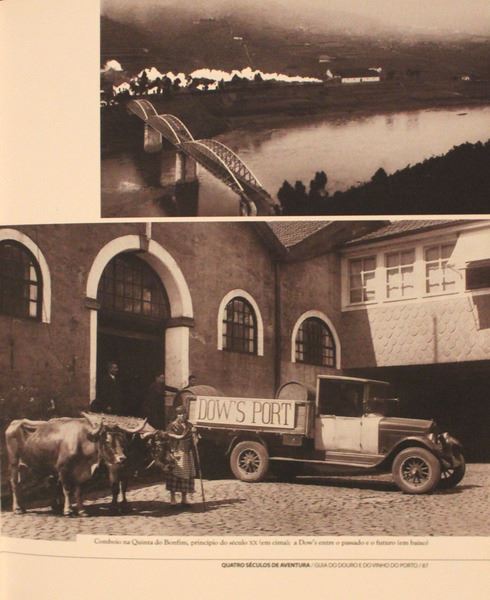 sadacosta-2001ig169_2.jpg
