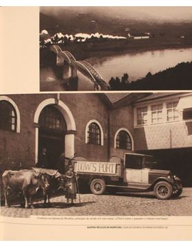 sadacosta-2001ig169_2.jpg