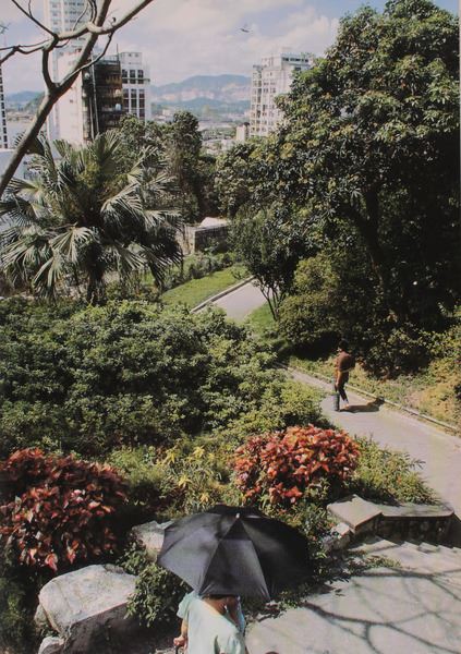 sadacosta-2001rl017_2.jpg