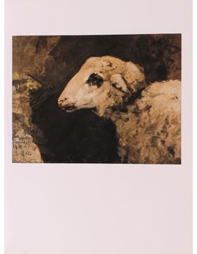 sadacosta-2001rl049_3.jpg