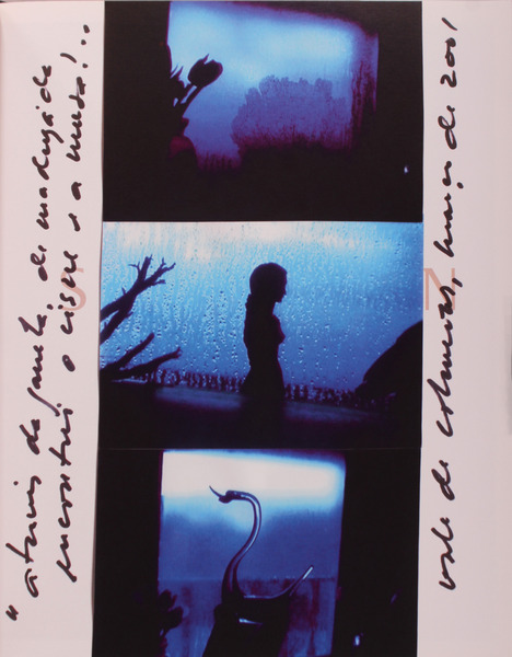 sadacosta-2006ig137_2.jpg