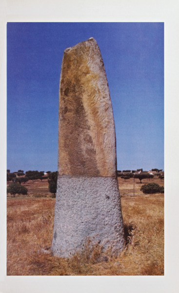 sadacosta-2006sa139_2.jpg