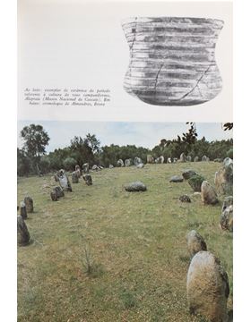 sadacosta-2011pg087_3.jpg