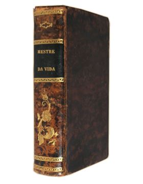 sadacosta-2011sb180_4.jpg