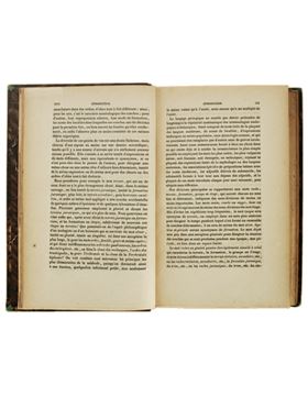 sadacosta-2101sb042_2.jpg