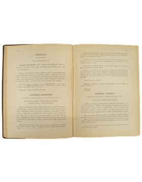sadacosta-2102RS255_2.png