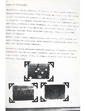 sadacosta-2102sb090_2.jpg