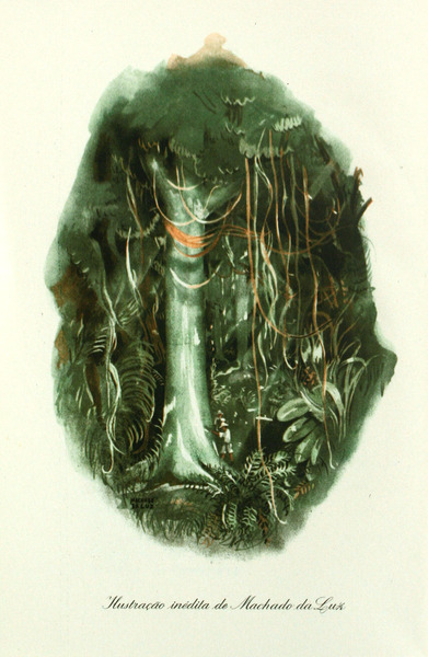 sadacosta-2103ma088_2.jpg
