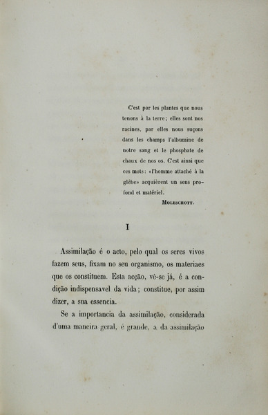 sadacosta-2103pa199_2.jpg
