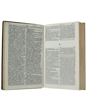 sadacosta-2103rs007_2.jpg